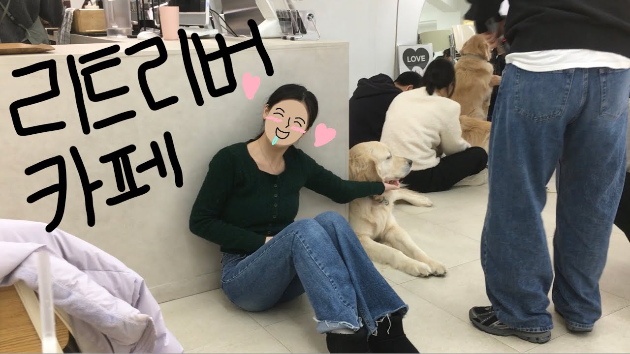 레전드 리트리버 카페 💛💛