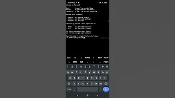 give storage permission to termux