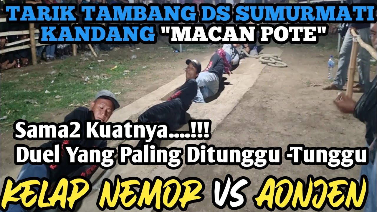 TARIK TAMBANG // KELAP NEMOR ( Pamatan ) Vs AONJEN ( Sumurmati ) Arena Sumurmati