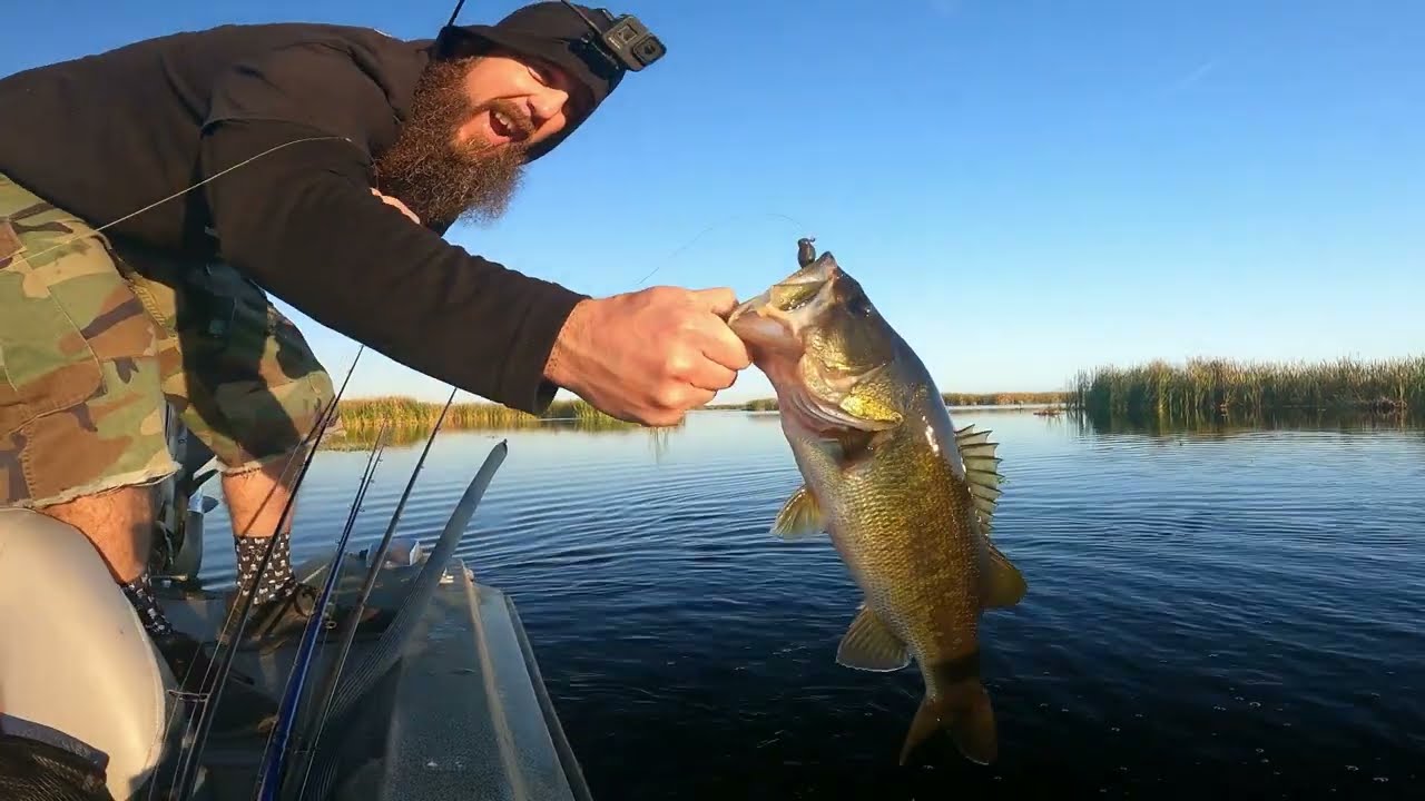 ⁣Headwaters The Return (Shut Up and Fish) (Trailer)