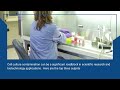 Who are the Main 3 Culprits in Cell Culture Comanination #PrimaryCell #Cellculture #researchlab