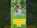 من جردتي البسيطه والمتواضعه احييكم دويتو اكسبلور في العريفي