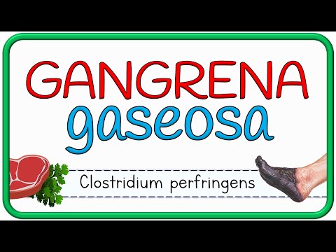 GANGRENA GASEOSA - fisiopatología, microbiología, signos y síntomas, diagnóstico, tratamiento