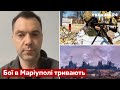 👊АРЕСТОВИЧ: ЗСУ вибили російських військових з Азовсталі - війна, рф, Маріуполь - Україна 24