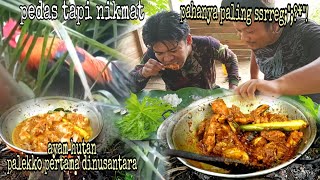 AYAM HUTAN KUPING PUTIH LANGSUNG MASAK ||AYAM PALEKKO MAKASAR