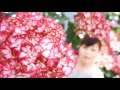 ミカコレッド01youtube　sakamotoengei さかもと園芸　ギフト　プレゼント　鉢花　母の日　hydrangea　あじさい　cyclamen　シクラメン　japan　群馬の鉢花　カオプ