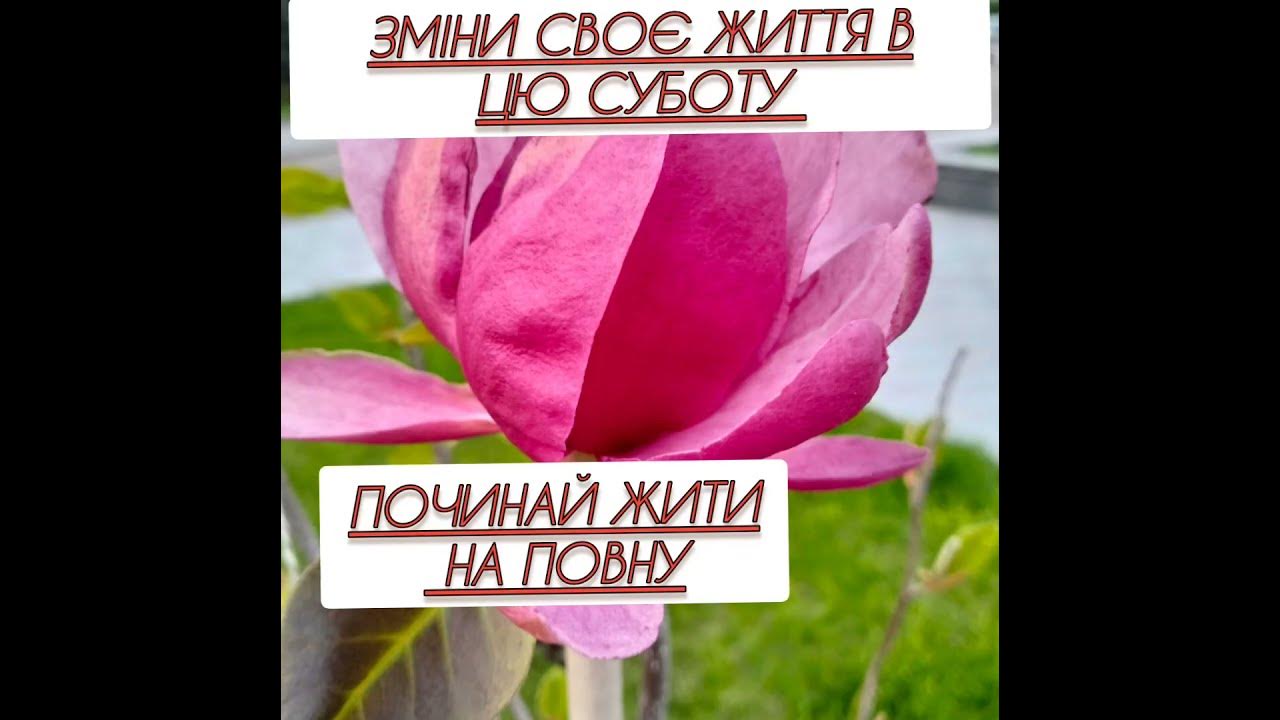 гра Ліла - YouTube