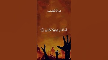 الشيخ ياسر الدوسري سورة المؤمنون