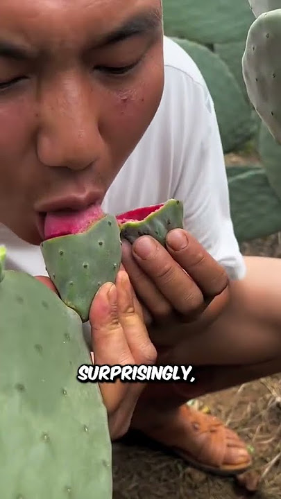 Cactus Farms 🌵😋