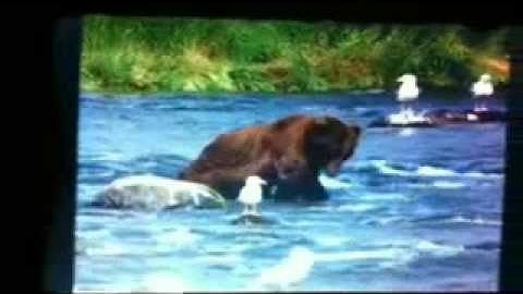 Tablet Pc Epad Flytouch 3 Wifi #93