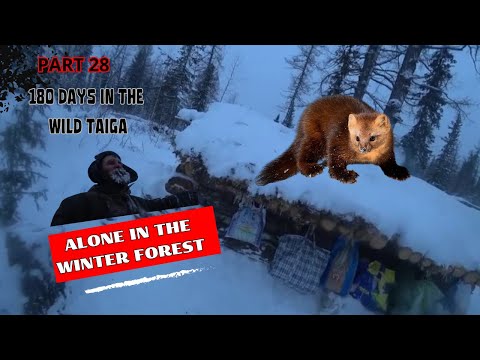 Soul of Siberia　Wild Siberia fired Siberia on fire – every summer – Faktantarkistusblogi