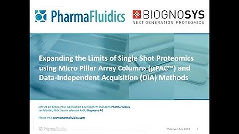Expanding Limits of Shotgun Proteomics Using Micro Pillar Array Columns and DIA Methods