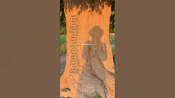 اعاتبها ويلمع دمعها بدون موسيقى بليز اشتراك ولايك وتعليق اشتتتراك بليييييز 