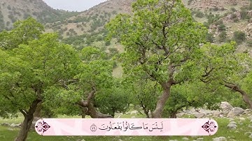 سورة المائدة أرکان سلمان- اية 78 #أرکان_سلمان#آل_عمران
