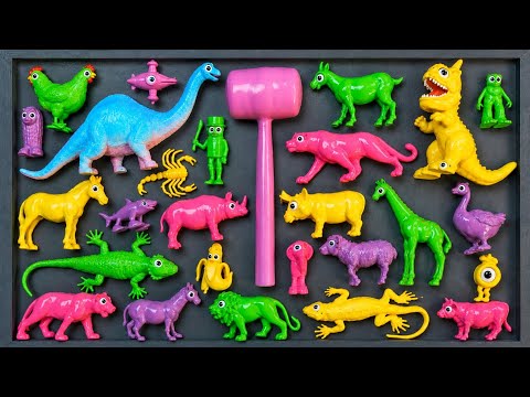 Membersihkan mainan hewan, sapi, angsa, bebek, kuda, zebra, singa, buaya, gajah, unta, kangguru.