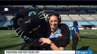 Sir Purr crashes pregame live shot