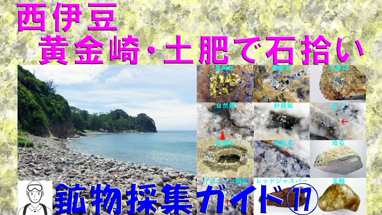 鉱物の部屋65 西伊豆 黄金崎・土肥で石拾い
