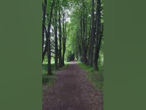 Томск ️ Ботанический сад на Степановке - YouTube