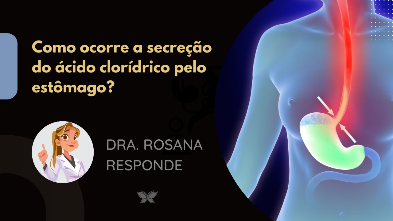GASTRITE: Como ocorre a secreção do ácido clorídrico pelo estômago ...