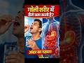 गोली शरीर में कैसे काम करती है? | Tablet Kaise Kaam Karti Hai Inside Body | Medical Science #shorts