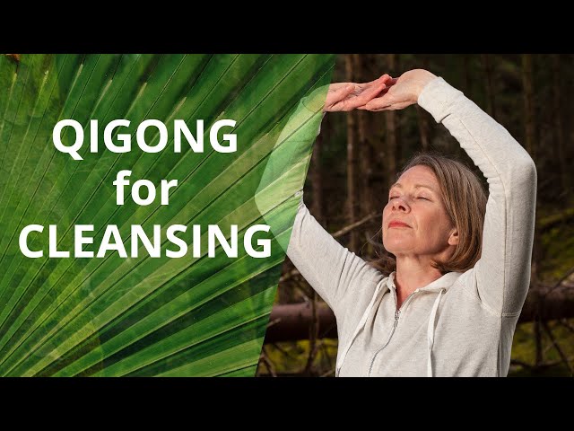 Qigong For Cleansing class=