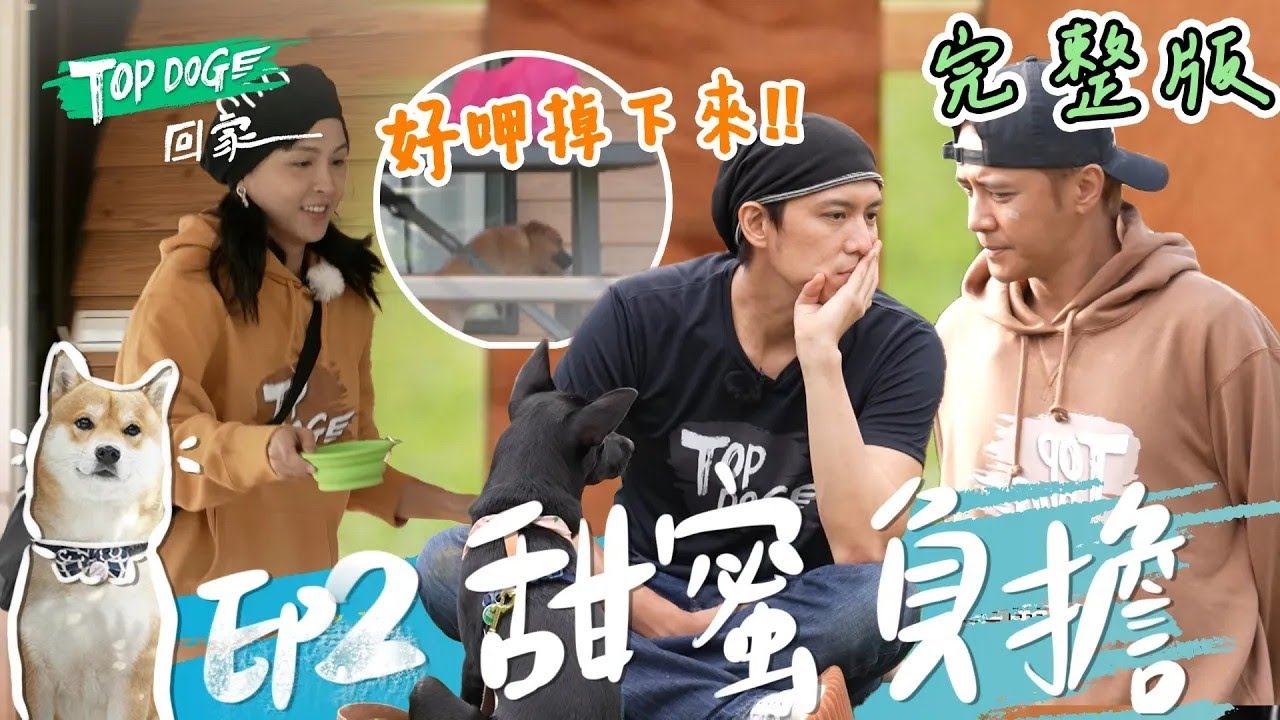 EP2 完整版SUB|羅志祥一夜的付出 讓辛芭感受到他的愛!費歐娜的失控讓陳楚河崩潰 自曝超級羨慕其他人!愛牠就要照顧牠 讓牠們成為最甜蜜的負擔|TOP DOG回家 縮圖