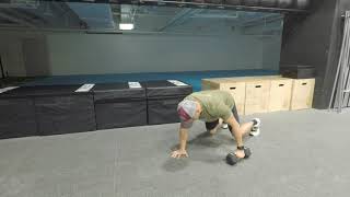Quadruped DB Pull Through