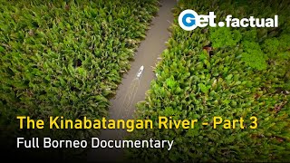 The Kinabatangan River | Can We Save It? | The Amazon of the East  Borneo Documentary, Part 3