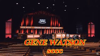 GENE WATSON  Medley 'best of 70s and 80s'