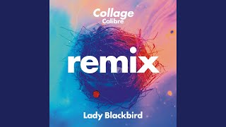 Collage (Calibre Remix)