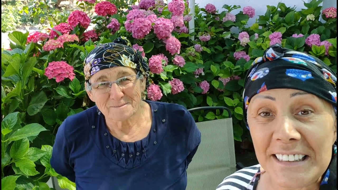 İNSAN BURDA HASTALIKLARINDAN KURTULUR