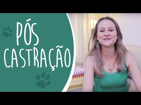 Vídeo: Quanto as fêmeas sangram quando estão com calor?