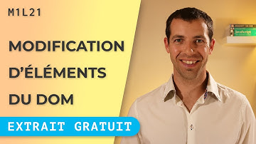 3 astuces sur la console de Google Chrome (extrait gratuit) [M1L21]