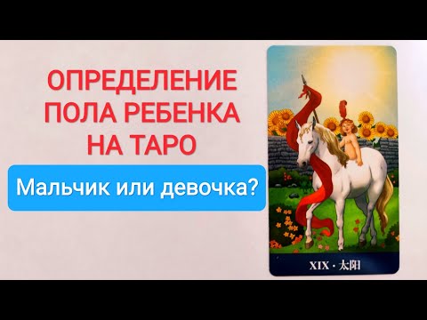 ПОЛ РЕБЕНКА НА ТАРО/КТО РОДИТСЯ: МАЛЬЧИК ИЛИ ДЕВОЧКА?/КАК ОПРЕДЕЛИТЬ?🤔🤔