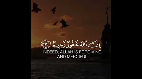 استغفر الله ان الله غفور رحيم القارئ عبدالرحمن مسعد 
