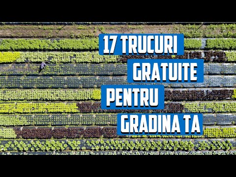 Video: Micile Trucuri De Grădină Ale Unei Recolte Mari