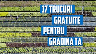 17 Trucuri pentru LEGUMELE din Grădina Ta ! (RECOLTĂ mai Mare cu Efort mai Mic )