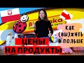 ЦЕНЫ НА ПРОДУКТЫ В ПОЛЬШЕ 2020. БЕДРОНКА- РАЙ ДЛЯ ЗАРОБИТЧАН ПОДРОБНЫЙ ОБЗОР ЦЕН.КАК выЖИТЬ в ПОЛЬШЕ