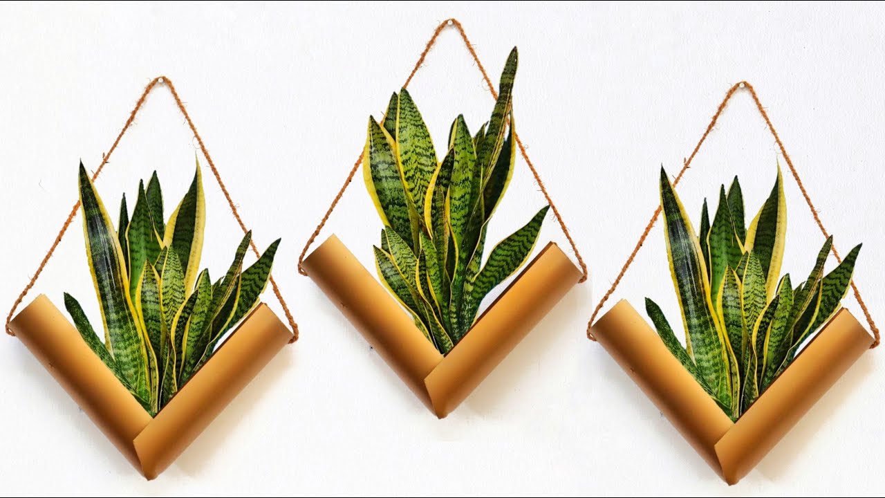 Amazing Hanging Plants Ideas Indoor Hanging Plants and Planters