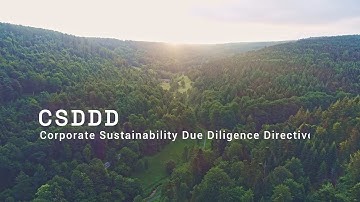 Corporate Sustainability Due Diligence Directive (CSDDD): Ensuring Compliance and Implementation