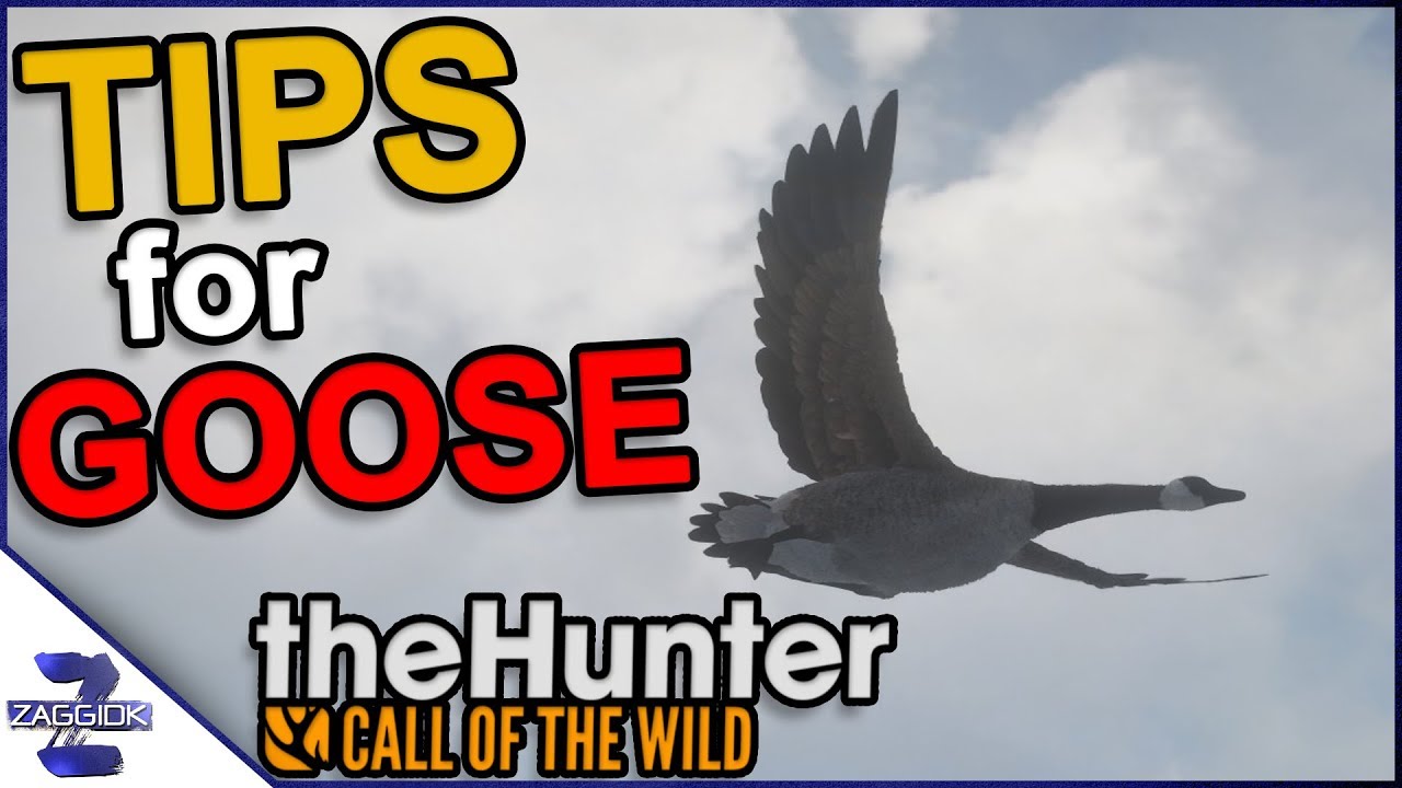 Tips for Goose Hunting Call of the Wild YouTube