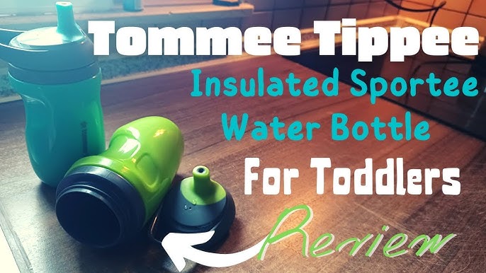 Tommee Tippee Insulated Sportee Toddler Water Bottle with Handle — 12m+,  2ct 