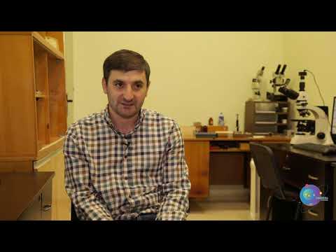 თსუ ალექსანდრე ჯანელიძის სახელობის გეოლოგიის ინსტიტუტის ახალგაზრდა მეცნიერი - გიორგი ბერიძე