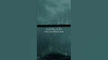 خواتم سورة العنكبوت بصوت القارئ عبد الرحمن مسعد #القران_الكريم #قران_كريم #راحة_نفسية #دويتو
