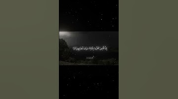 سورة النساء |56 | القارئ: #محمد_اللحيدان#قرآن#quran#راحة_نفسية#قرآن_كريم#تلاوة_هادئة#تلاوة_خاشعة
