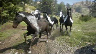 Horses  Red Dead Redemption 2  Hungarian Halfbred horse herd