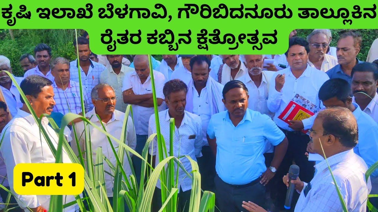 ಸುಧೀರ ಕತ್ತಿ ಇವರ ತೋಟದಲ್ಲಿ ಕೃಷಿ ಇಲಾಖೆ ಬೆಳಗಾವಿ & ಗೌರಿಬಿದನೂರು ತಾಲ್ಲೂಕಿನ ರೈತರ ಕಬ್ಬಿನ ಕ್ಷೆತ್ರೋತ್ಸವ| Part 1