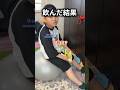 豆乳を飲んでみたいと言った自閉症息子　#自閉症 #もっくんかりんとう #豆乳 #食育 #健康