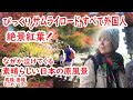 【リアルな海外の反応】絶景 紅葉!!外国人を完全に魅了した!サムライロード!!なんてこった!!ほぼすべて外国人!!!中山道 馬籠 妻籠 島崎藤村の故郷