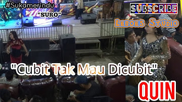 Quin Musik_" Cubit Tak Mau Dicubit"_Sukamerindu (SURO) || LEBOES STUDIO